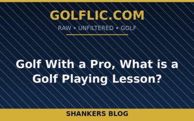 Golf With a Pro, What is a Golf Playing Lesson?