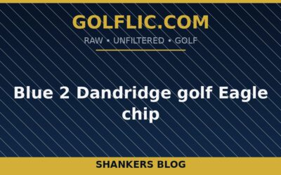 Blue 2 Dandridge golf Eagle chip