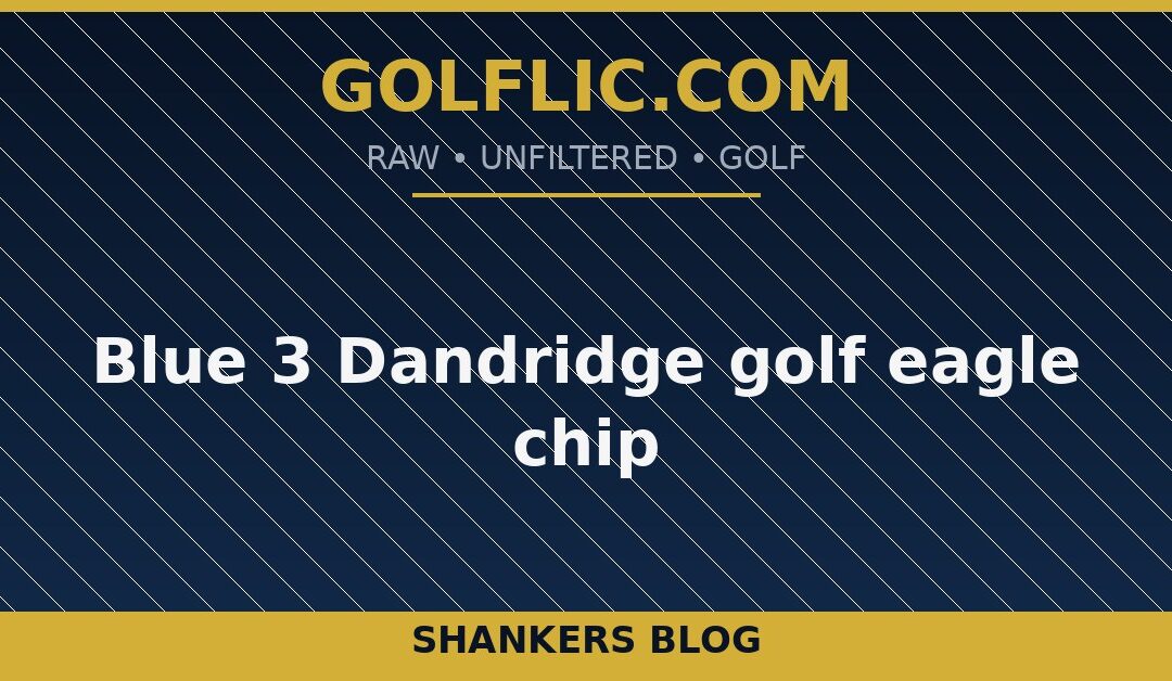 Blue 3 Dandridge golf eagle chip