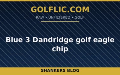 Blue 3 Dandridge golf eagle chip