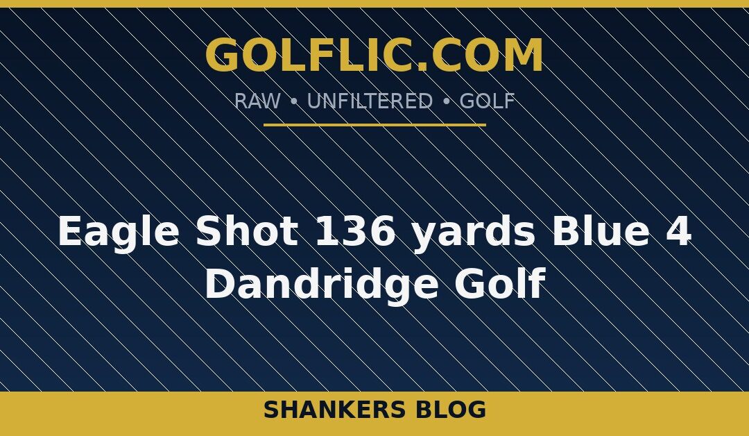 Eagle Shot 136 yards Blue 4 Dandridge Golf