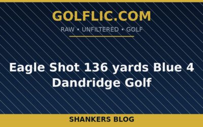 Eagle Shot 136 yards Blue 4 Dandridge Golf
